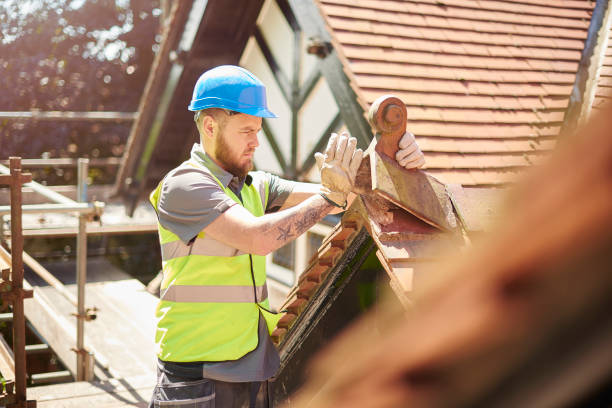 Best Roof Leak Repair  in Herscher, IL